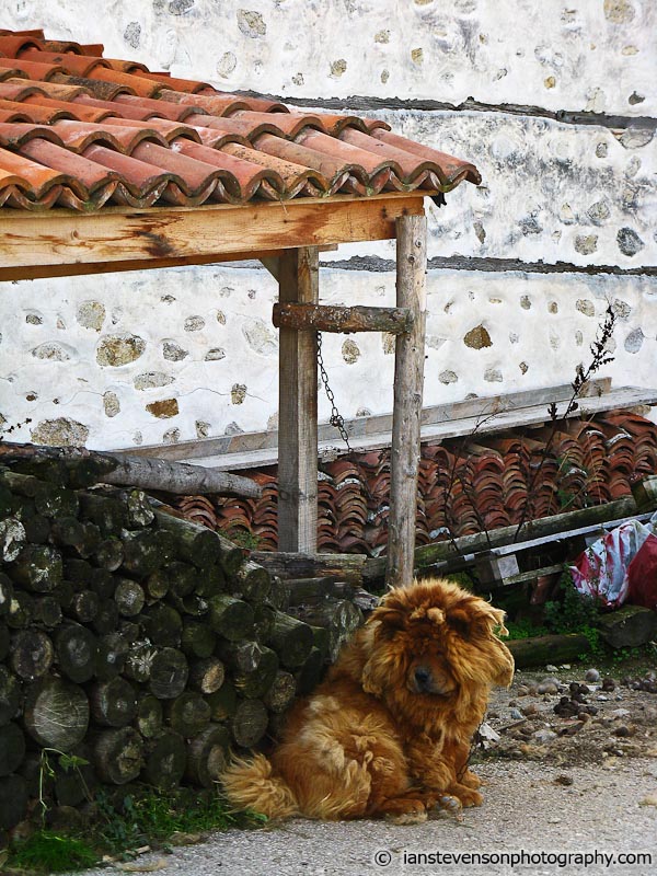 Melnik, Bulgaria - Animals - Ian Stevenson Photography